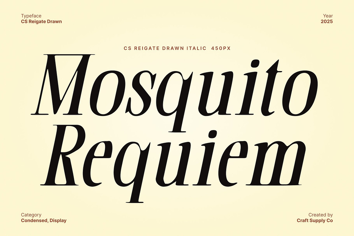 CS Reigate Drawn, a Serif Font by Craft Supply Co. (Photo 3 of 8)