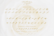 Authumn Sofia | Calligraphy Font, a Script Font by Analogous (Thumbnail 11 of 16)