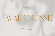 Walterosse - Elegant Display Serif, a Serif Font by Almarkhatype (Thumbnail 1 of 10)