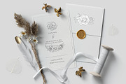 Elegant floral collection.Line art, a Decorative Illustration by Vera●Suleimanova (Thumbnail 14 of 15)