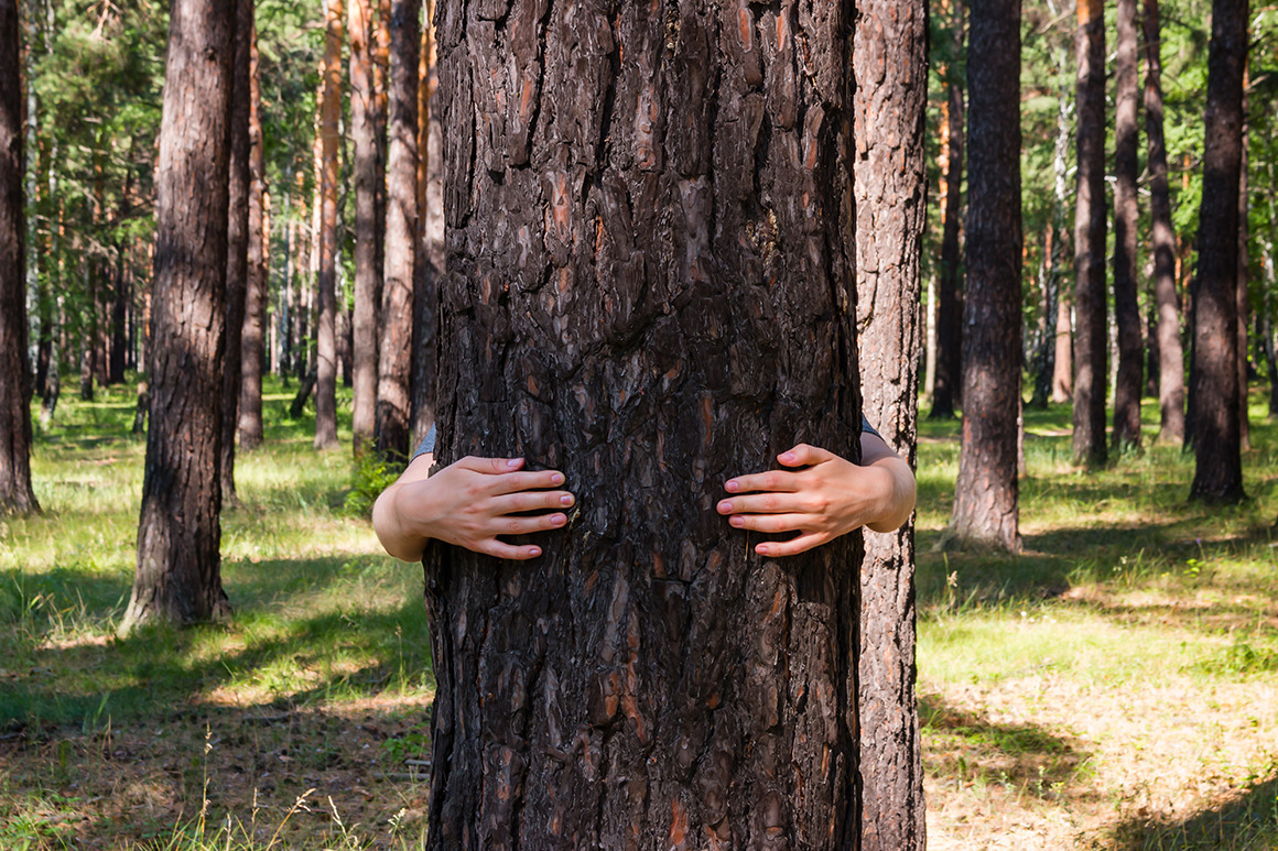 girl hugging a tree in the forest, a Nature Photo by itakdalee ...