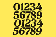 Volkgen Bold Modern Display Serif, a Serif Font by timelesstype.co (Thumbnail 6 of 15)