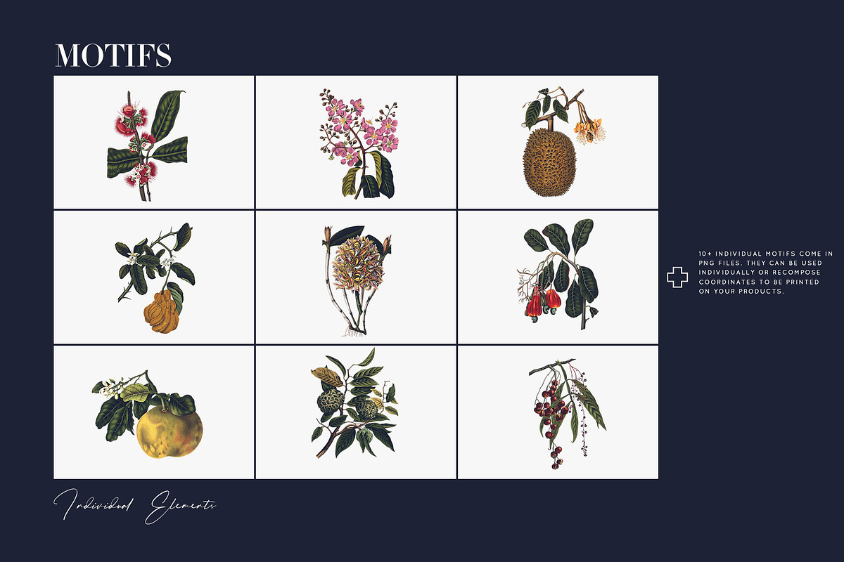 Exótica, Luxury Pattern design!, a Pattern Graphic by TSTUDIO (Photo 4 of 14)