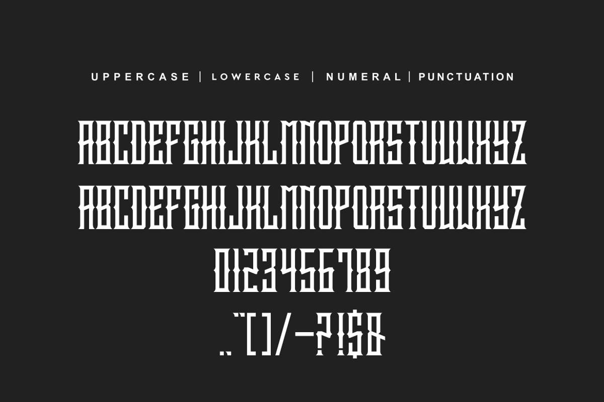 Zeromoshe, a Serif Font by alon kelakon (Photo 5 of 6)
