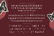 Rigflia Nirsho Modern Serif Font, a Serif Font by timelesstype.co (Thumbnail 19 of 20)