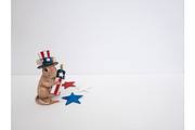 4th of July Stock Images Bundle, a Social Media Template by Sweet Rain Studios (Thumbnail 5 of 8)