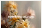 Abstract Blurry Botanical Bundle, a Background Graphic by Lana Elanor (Thumbnail 18 of 20)