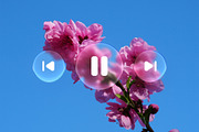 Liquid Glass Overlay Effect, a Graphic by Divided.co (Thumbnail 2 of 5)