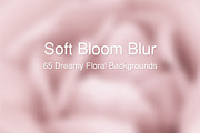65 Soft Bloom Blur Backgrounds., a Background Graphic by TaPilipa (Thumbnail 1 of 9)
