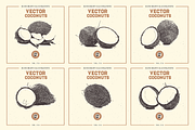 VECTOR COCONUTS HAND DRAWN BUNDLE, a Food Illustration by pawellpi (Thumbnail 5 of 6)