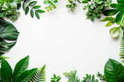 99 Frames of green leaves, a Nature Photo by Handmadefont (Thumbnail 41 of 100)