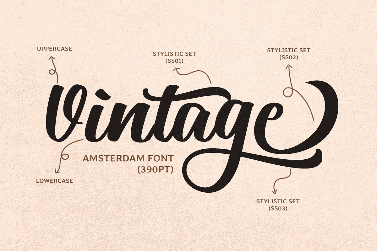 Amsterdam, a Handwritten Font by Mozatype (Photo 8 of 10)