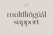 Gladies, a Serif Font by DYSA Studio (Thumbnail 10 of 13)