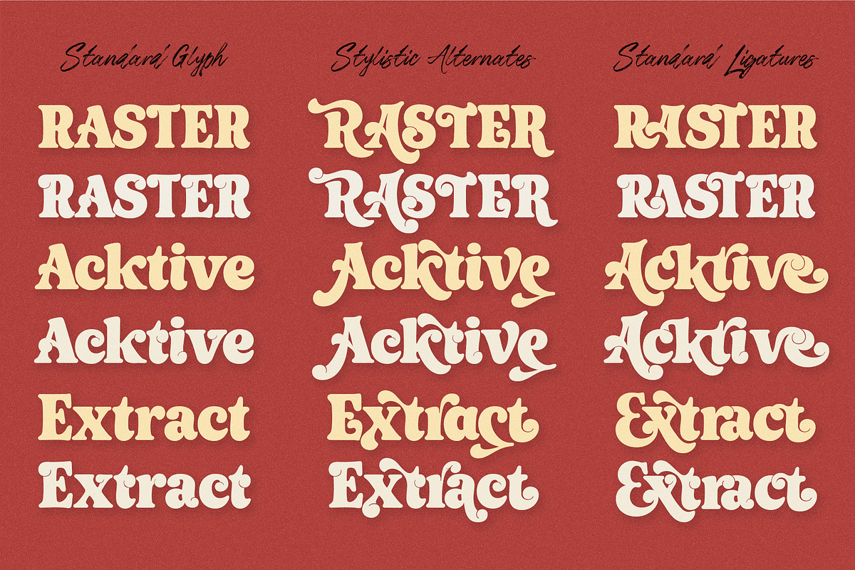 Axstura Jm, a Serif Font by joelmaker (Photo 7 of 31)