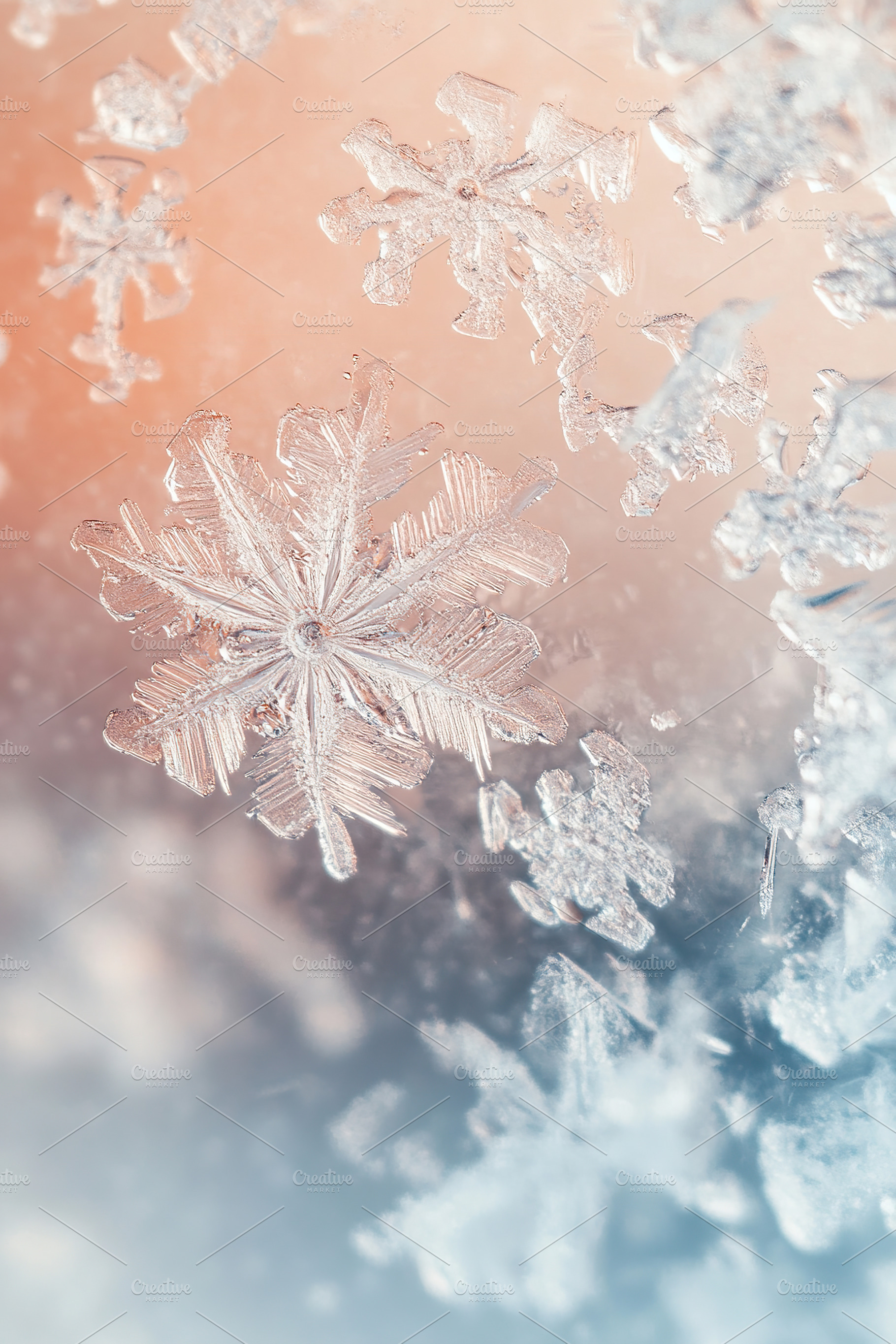 New Year iced snowflakes on pastel colors background, a Nature Photo by AlyaAnd