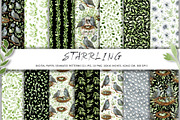 Starling family, spring bird, plants, an Animal Illustration by Artmanata (Thumbnail 3 of 16)