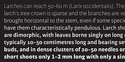 Mondo, a Sans Serif Font by Untype (Thumbnail 4 of 14)