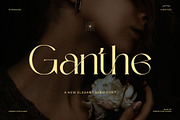Ganthe Modern Serif Font, a Serif Font by Perfectype (Thumbnail 1 of 7)