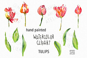 Tulip Watercolor Clipart, an Illustration by MariaScaroniAtelier (Thumbnail 2 of 4)