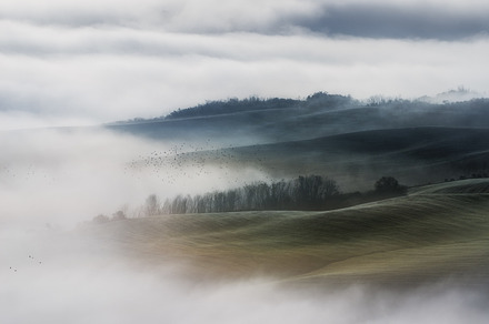Fog on the valley fields val d'orcia stock photo containing agriculture and