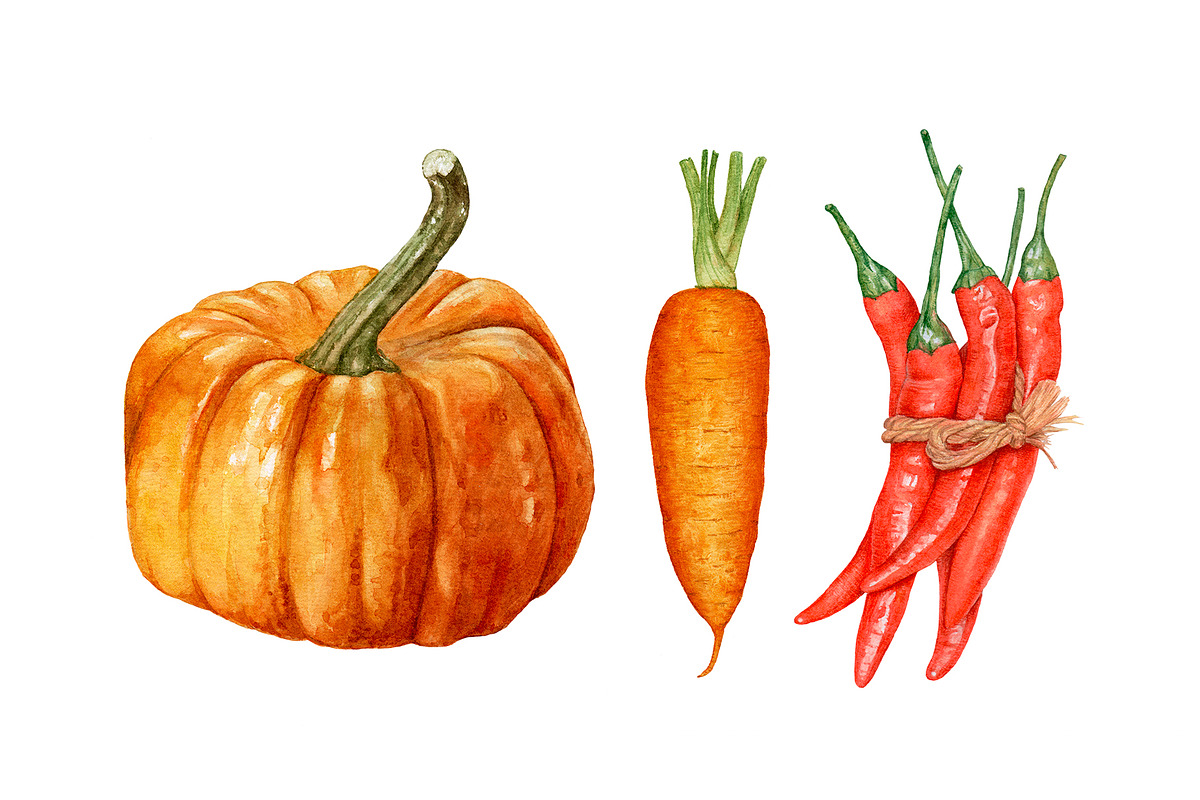 Watercolor organic food, a Food Illustration by Katya Zlobina (Photo 6 of 9)