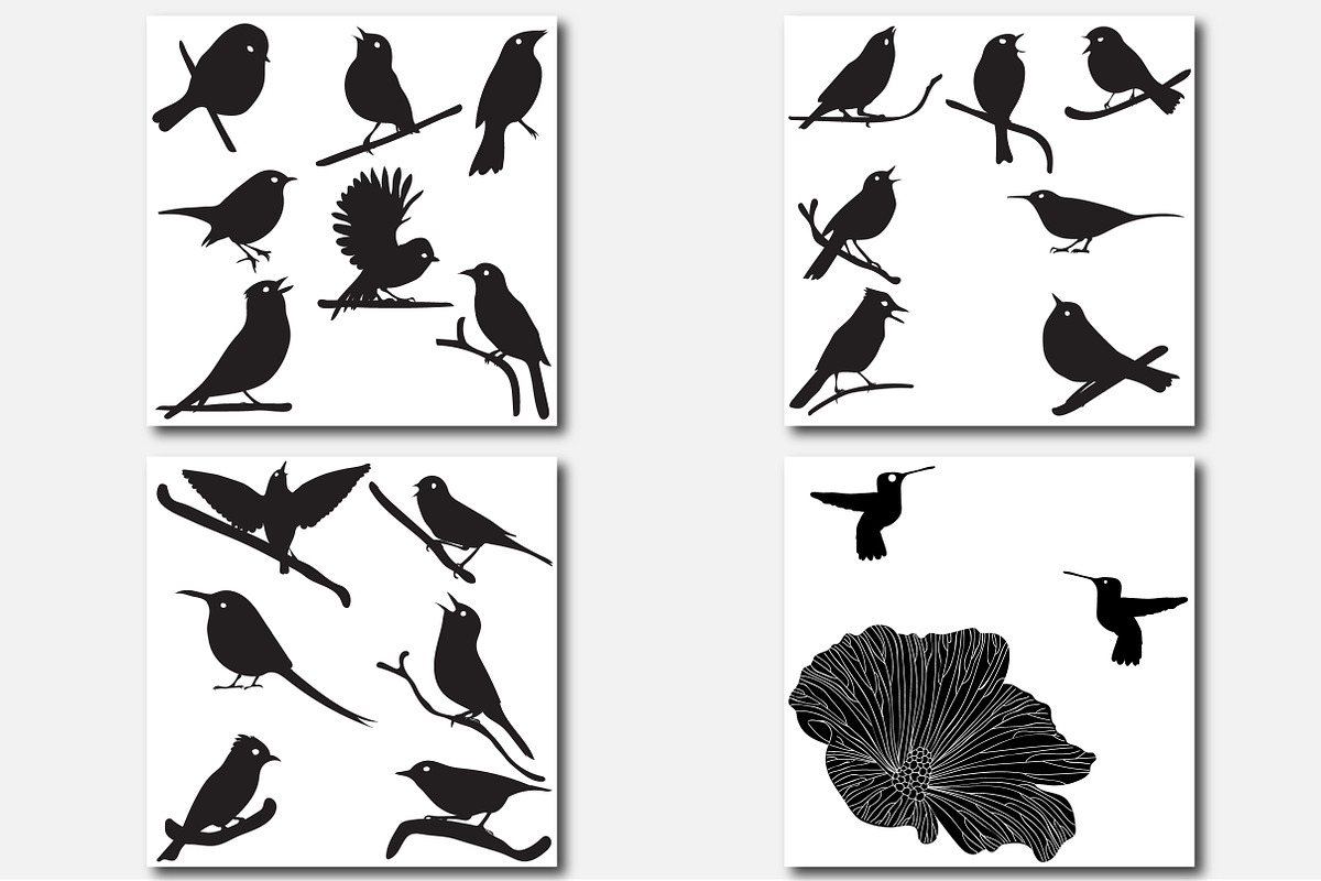 Bird silhouettes, Vector Collection, an Object Graphic by Orangepencil (Photo 5 of 6)