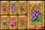 Enchanted flowers tarot deck, a Decorative Illustration by Samiramay (Thumbnail 7 of 12)