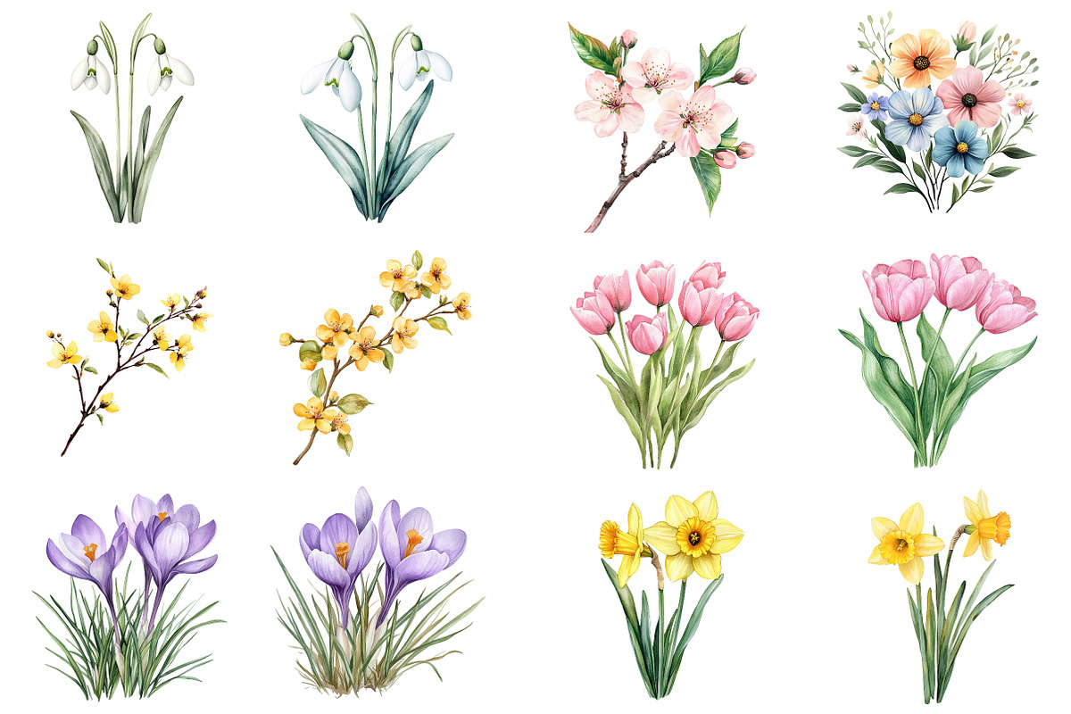 Botanical Spring Blooms Png, an Illustration by CitraGraphics (Photo 5 of 5)