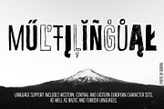Bellfort Draw - 13 fonts, a Sans Serif Font by Leitmotif (Thumbnail 4 of 8)