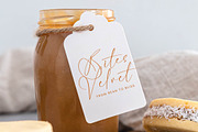Ambition Master Stylish Signature, a Script Font by stylishtype.co (Thumbnail 5 of 20)