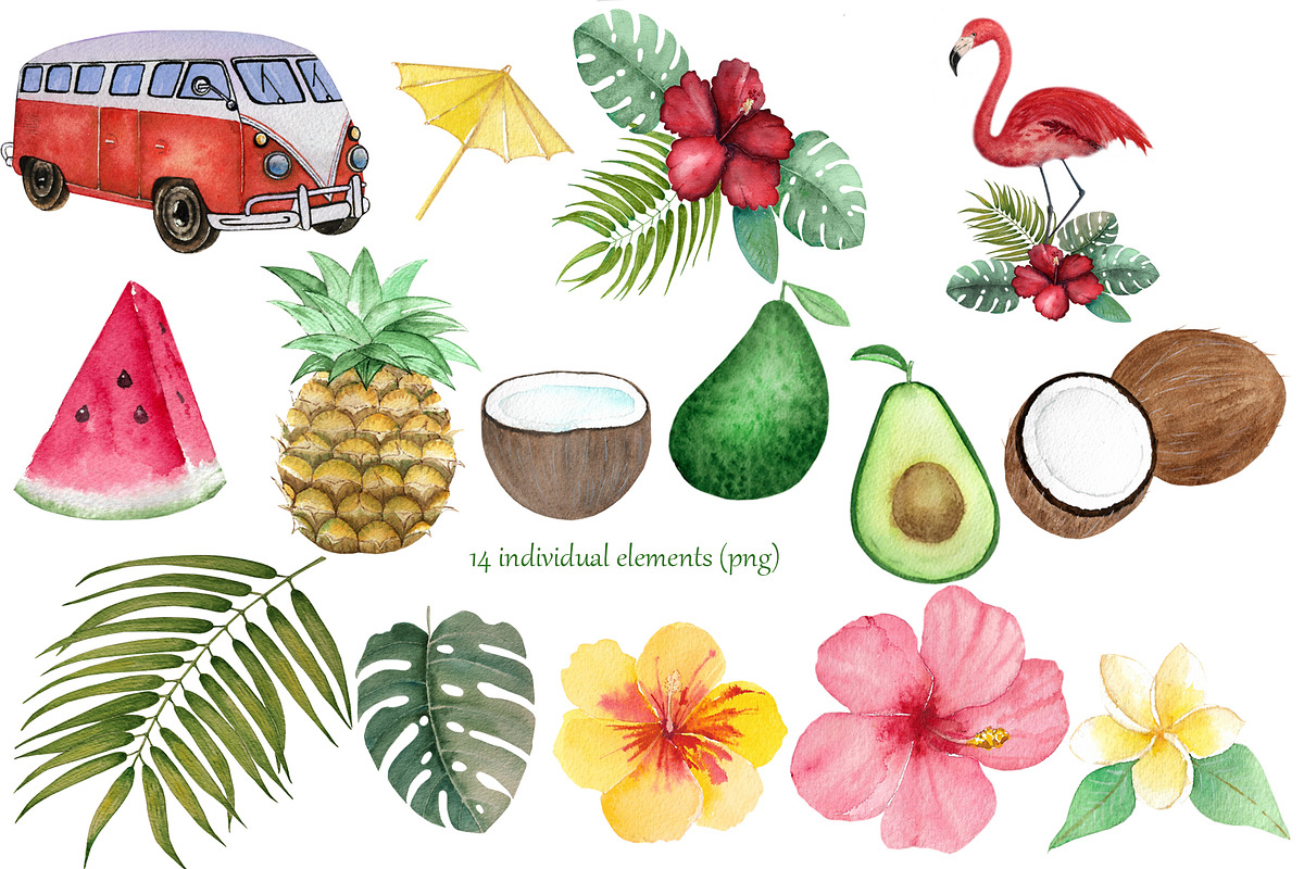 Watercolor Tropical Set, a Food Illustration by Pretty light (Photo 2 of 7)