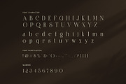 Amazing Luxury Ligature Serif Font, a Serif Font by Perfectype (Thumbnail 7 of 8)