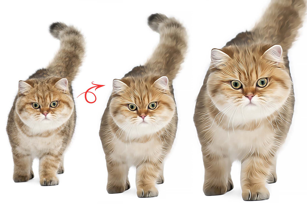 Cat and Pet Oil Painting, an Action Add-On by MRI STUDIO (Photo 11 of 17)