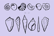 Seashells Hand drawn vector elements, a Seasonal Illustration by Lena Nikolaeva (Thumbnail 5 of 14)