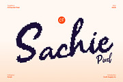 CS Sachie Pixel, a Script Font by Craft Supply Co. (Thumbnail 1 of 8)