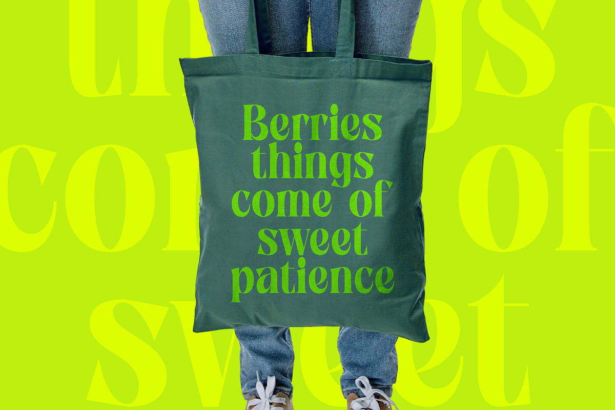Zefta Bold Tall Modern Serif Font, a Serif Font by timelesstype.co (Photo 2 of 20)