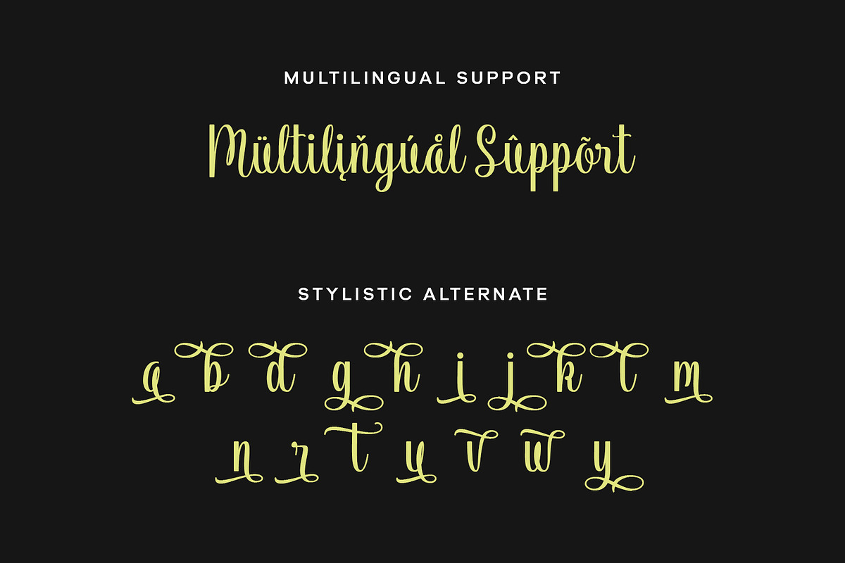 Vendila Script Font, a Script Font by Siwox Studios (Photo 7 of 8)
