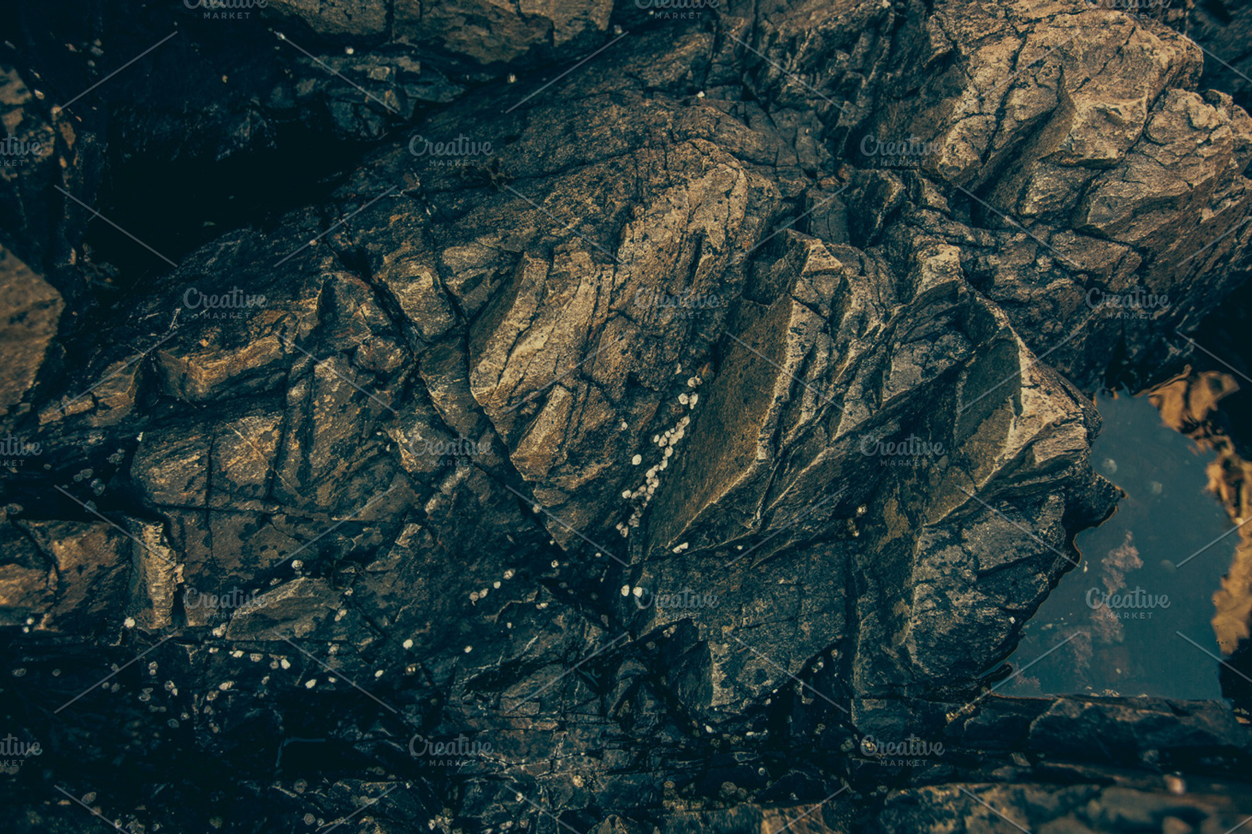 Coastal rocks stock photo containing acadia and national park, a Nature Photo by Moth Owl Photography
