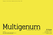 Multigenum - Serif font family, a Serif Font by Artistic & Unique (Thumbnail 1 of 15)