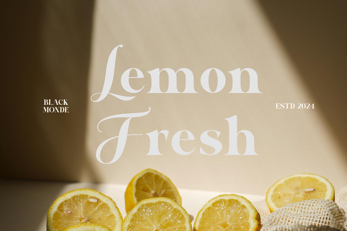 Black Monde, a Serif Font by Zafiratype (Photo 9 of 15)