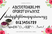 Vandella Script, a Script Font by Unicode Studio (Thumbnail 5 of 5)