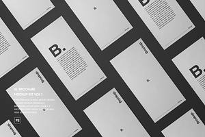 DL Trifold Brochure Mockup Kit