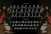 Nothina Mount Typeface, a Serif Font by alit design (Thumbnail 11 of 21)