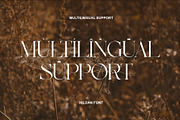 Hildan Modern Ligature Serif, a Serif Font by Alfinart (Thumbnail 8 of 10)