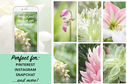 Floral Botanical Background Images, a Background Photo by kristiangallagher (Thumbnail 3 of 5)