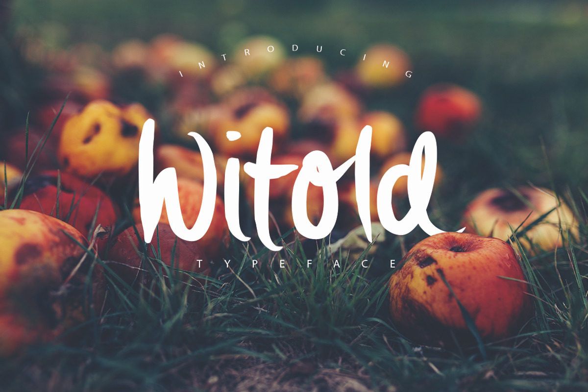 Witold Script Typeface