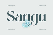 Sangu, a Serif Font by nurrontype (Thumbnail 1 of 12)