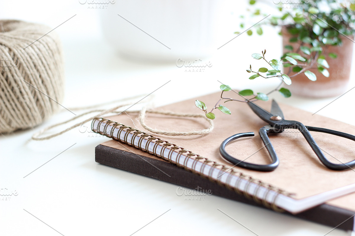 Neutral Collection | Styled Stock, a Business Photo by Chalking Up Stock (Photo 10 of 25)