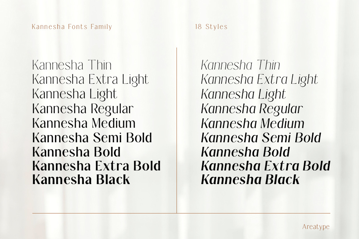 Kannesha Sans Serif (18 fonts), a Sans Serif Font by Areatype (Photo 7 of 13)