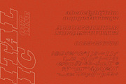 Becrat Font OTF & TTF, a Slab Serif Font by Horlleys (Thumbnail 9 of 9)